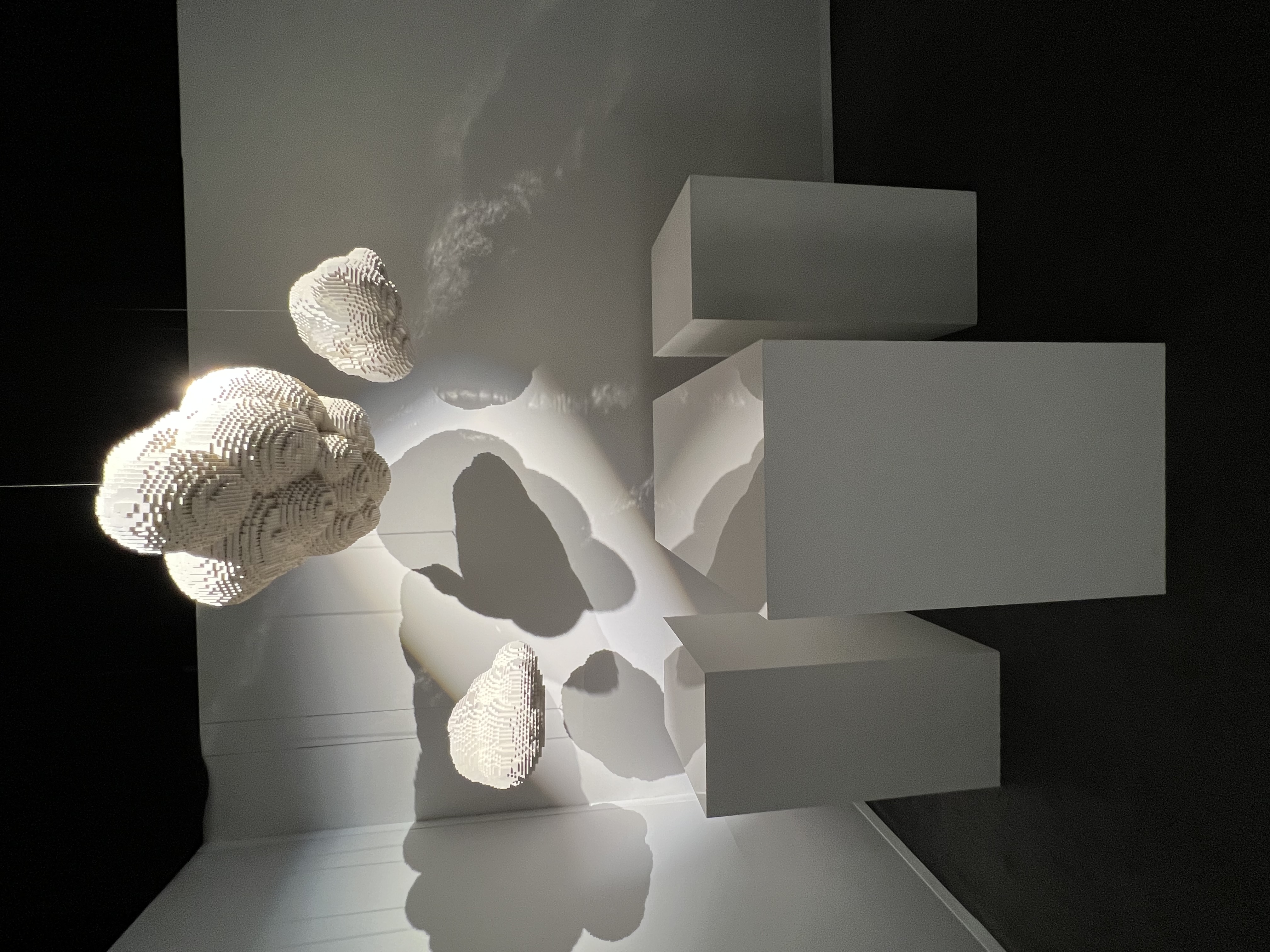 ./2023/07 - Art of the Brick/IMG_9585.JPG